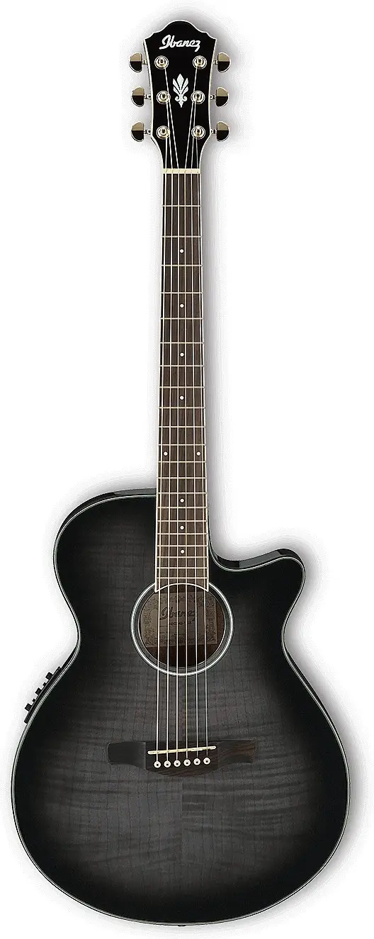 Ibanez AEG24II Review | Chorder.com