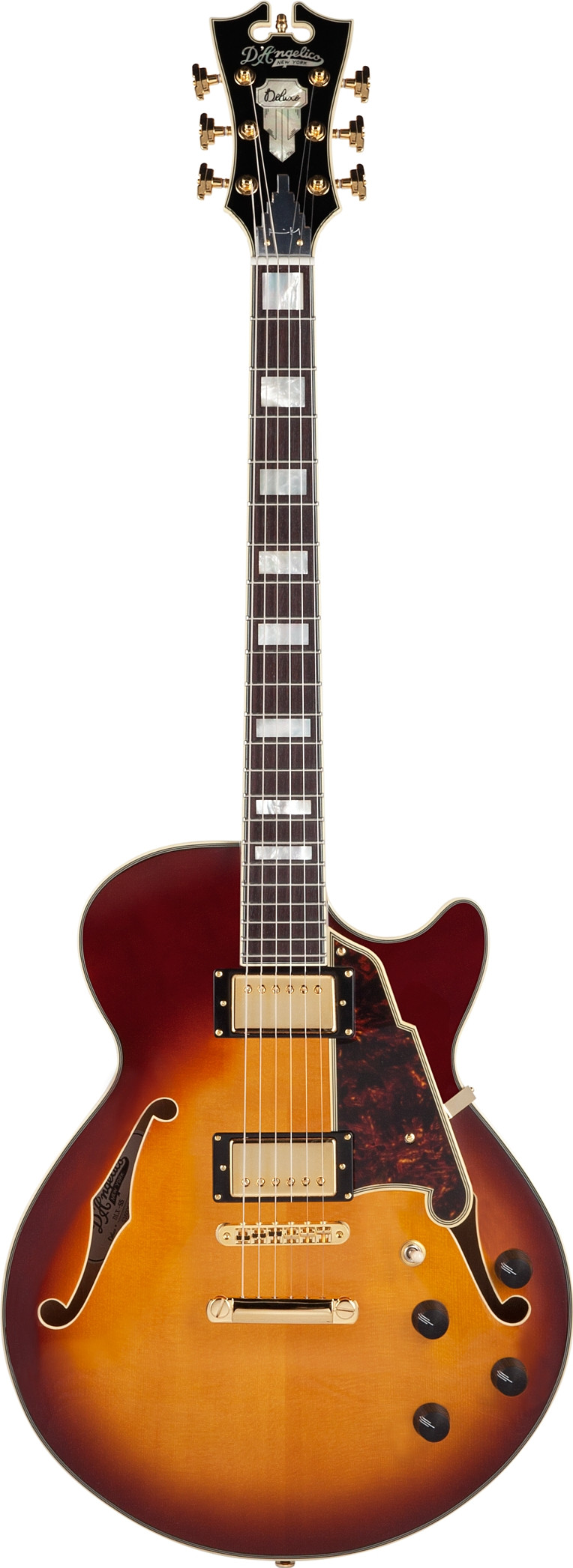 Deluxe Kurt Rosenwinkel SS by D`Angelico Guitars