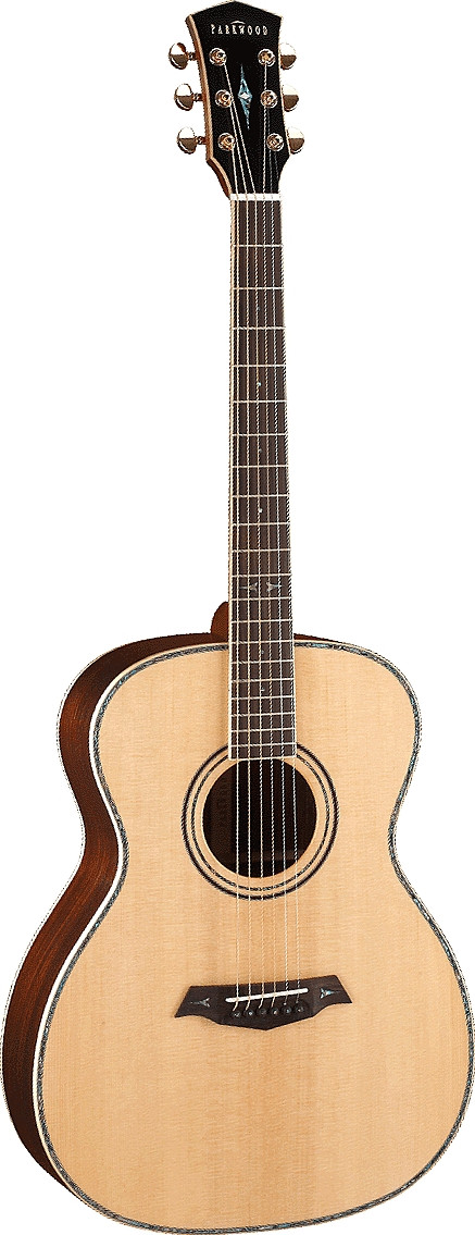 P820 by Parkwood Guitars
