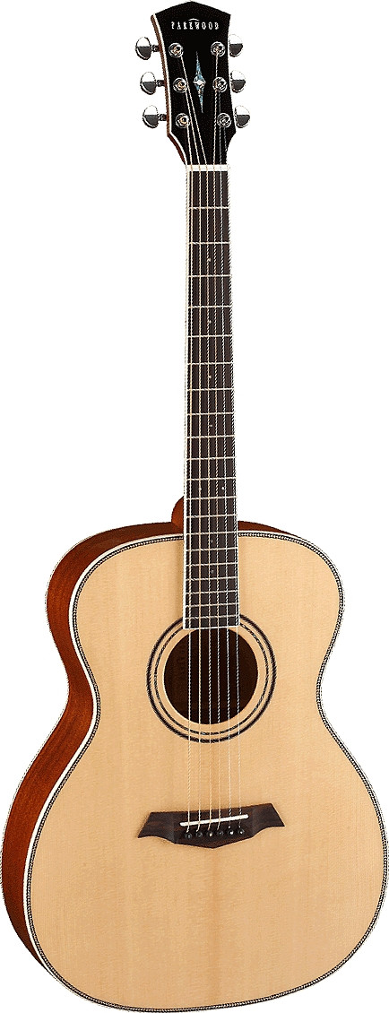 P620 by Parkwood Guitars