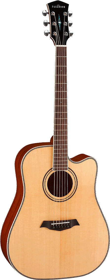 P660 by Parkwood Guitars