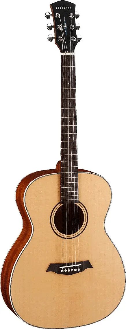 S22 by Parkwood Guitars