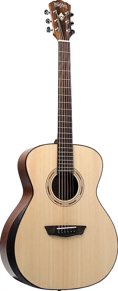 WCG10SNS by Washburn