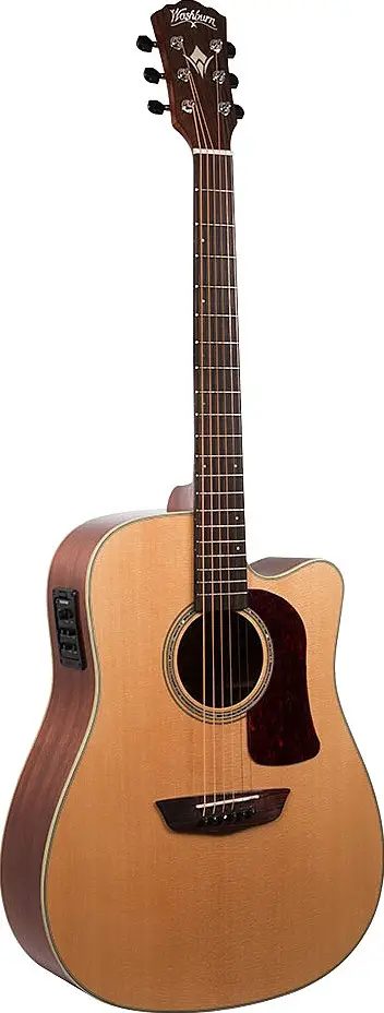 HD100SWCEK by Washburn