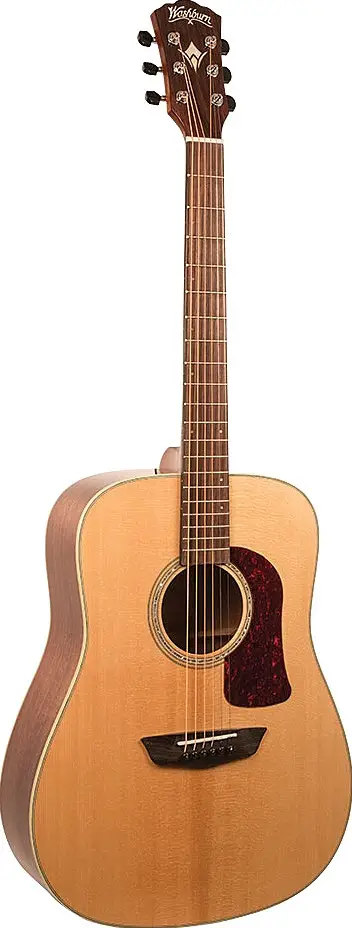 HD100SWK by Washburn