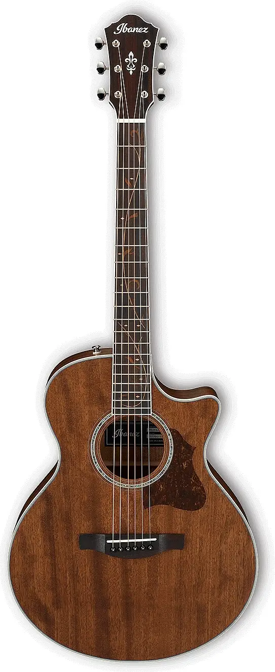 AE245JR by Ibanez