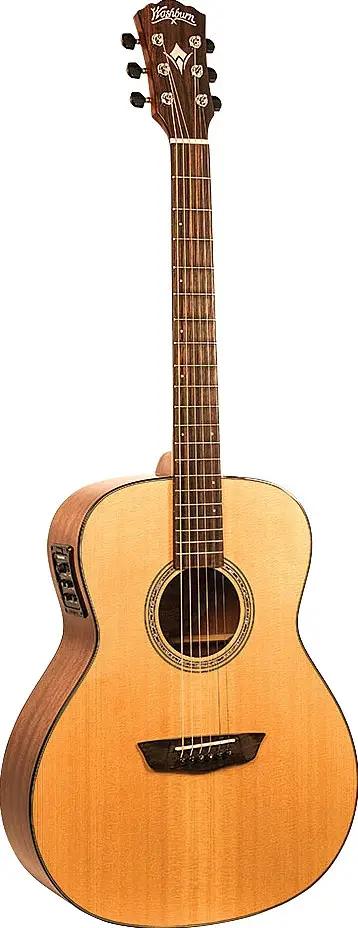 WL0100SWEK by Washburn