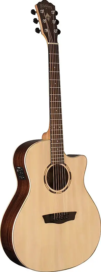 WL020SCE by Washburn