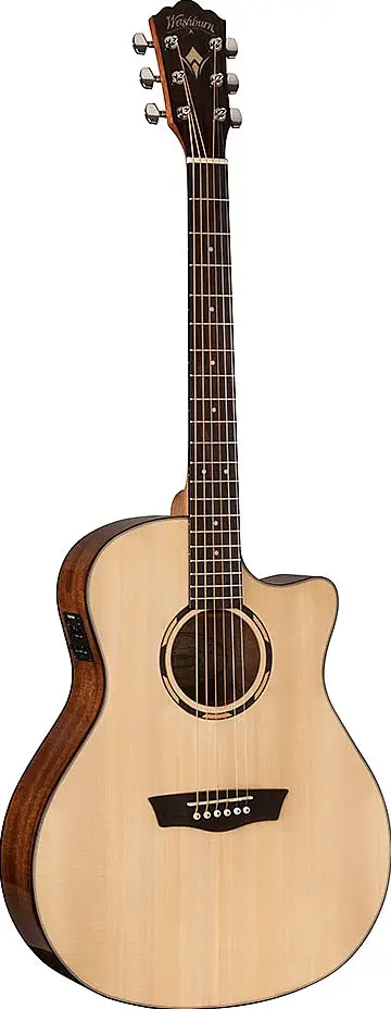 WL010SCE by Washburn