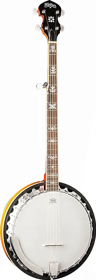 B10 by Washburn