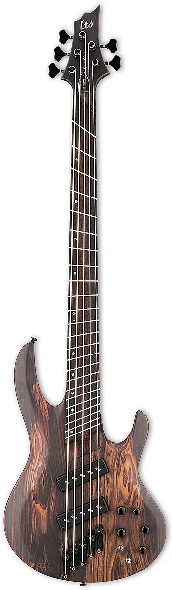 B-1005SE Multi-Scale by ESP