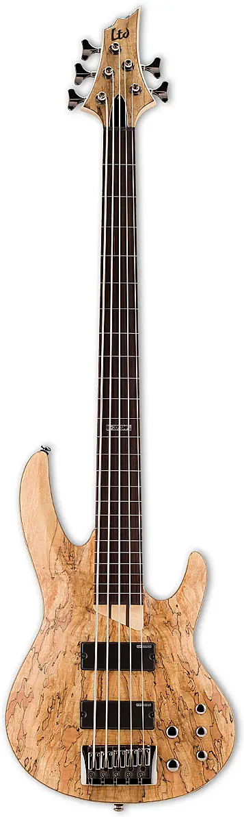 B-205SM Fretless by ESP