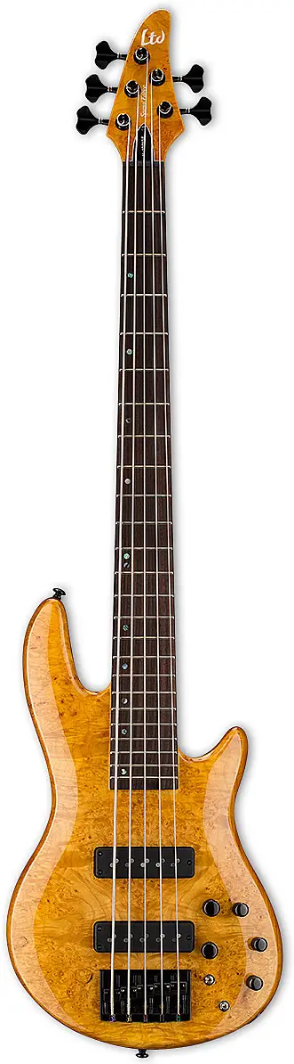 H-1005SE by ESP