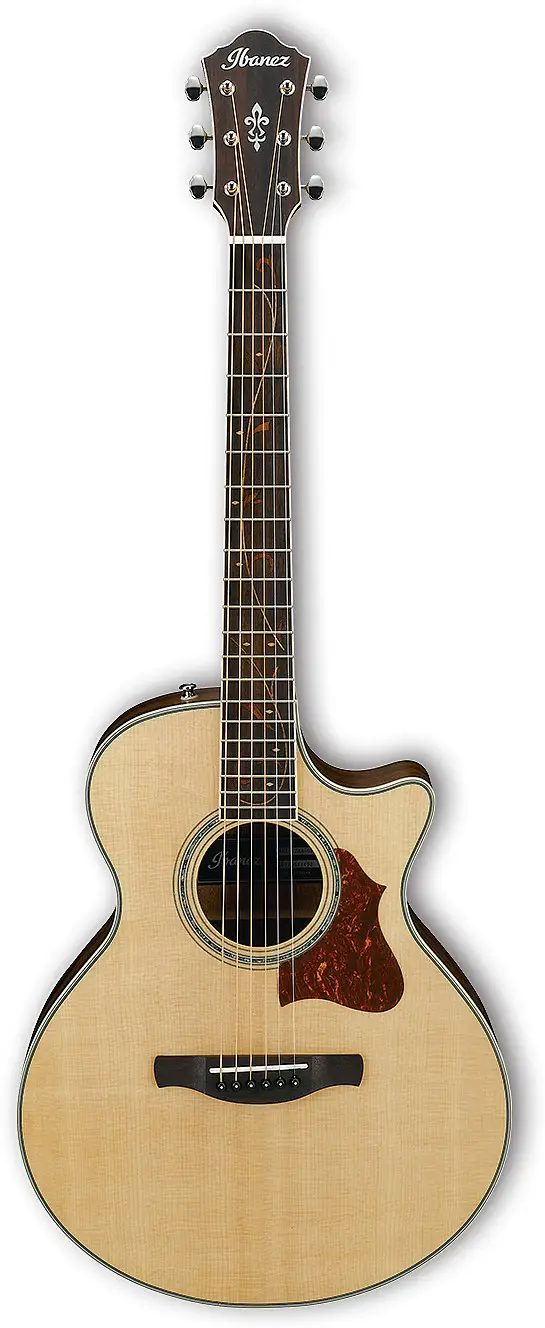 AE205JR by Ibanez