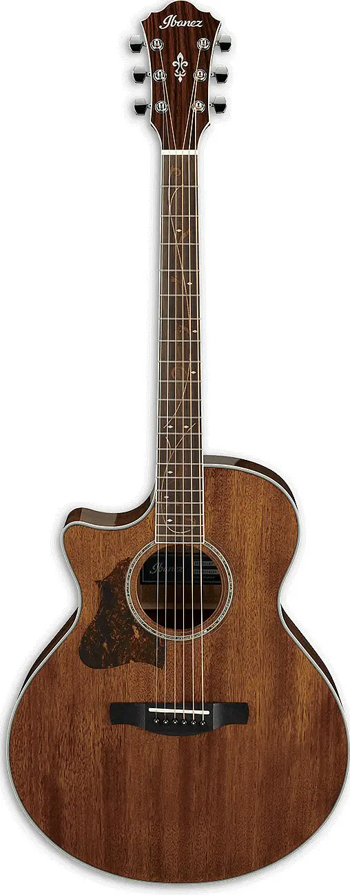 AE245L by Ibanez