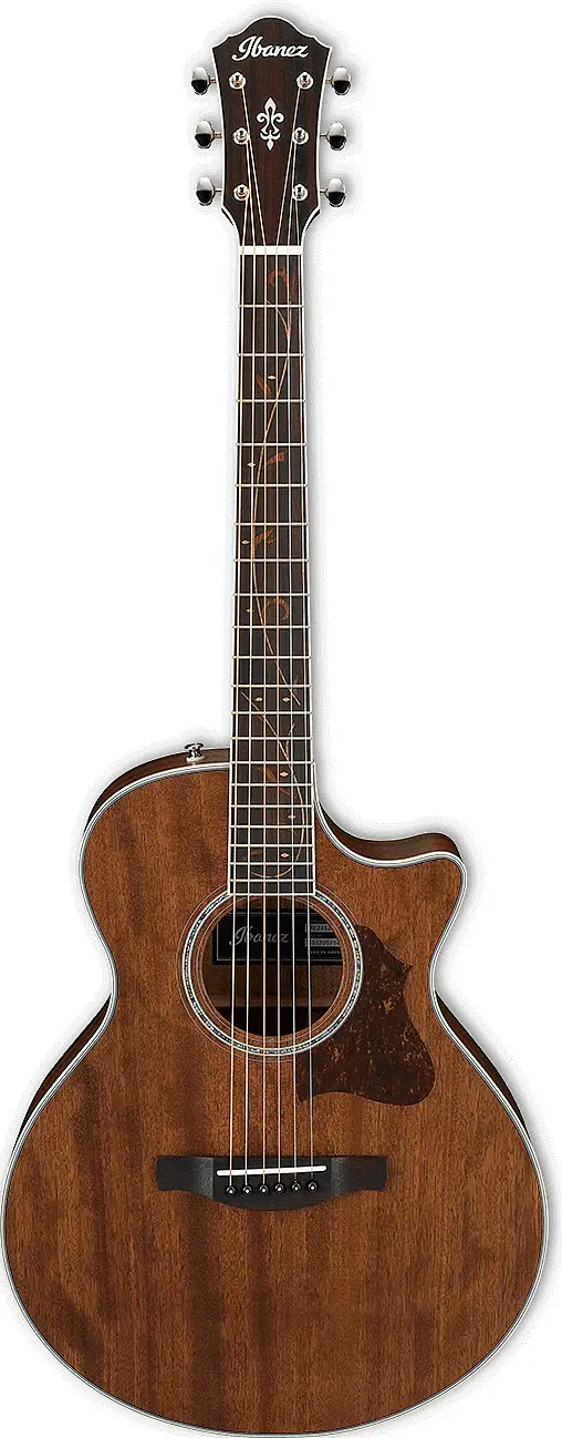 AE245JR (2018) by Ibanez