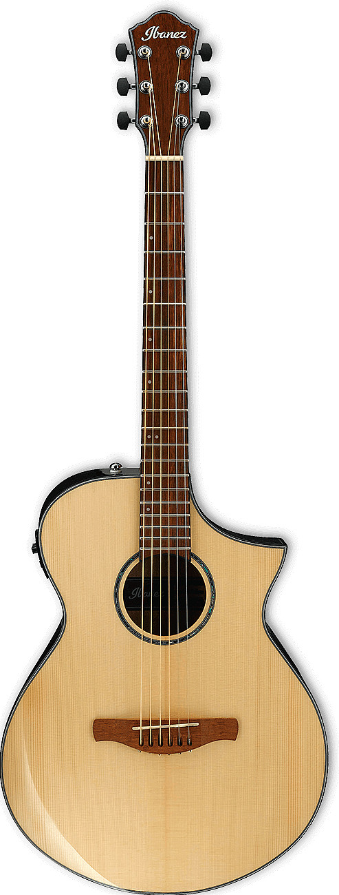 AEWC300 by Ibanez