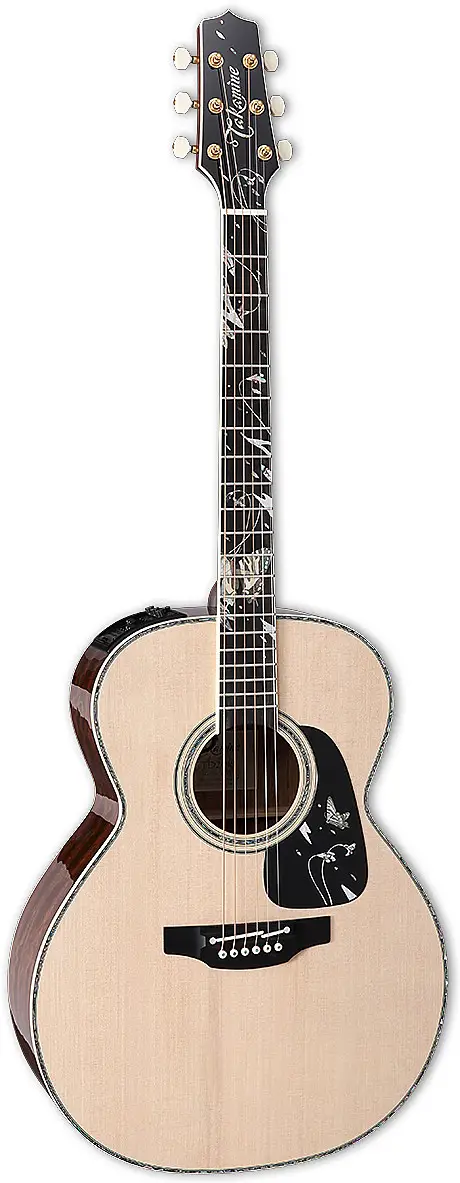 LTD 2018 Gifu-Cho by Takamine