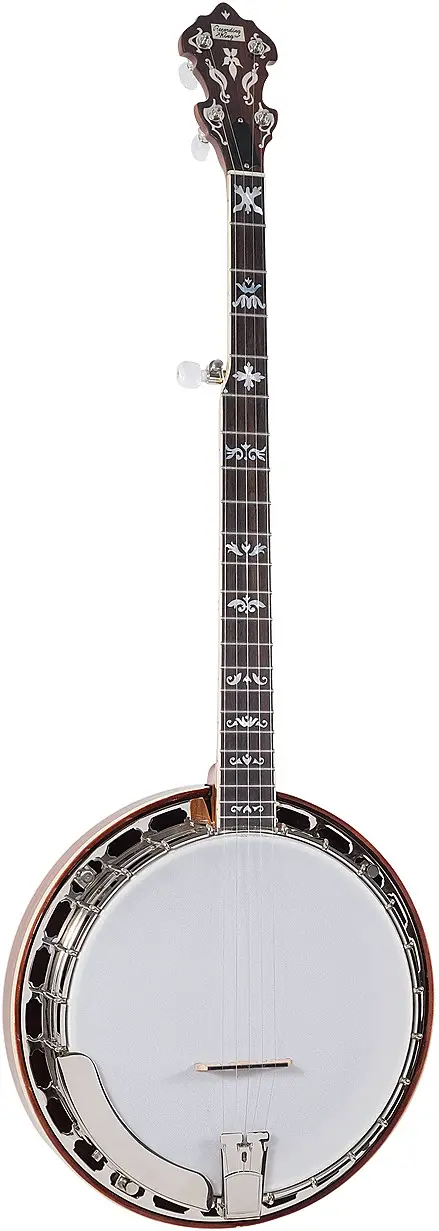 RK-ELITE-75 Recording King Resonator Banjo by Recording King