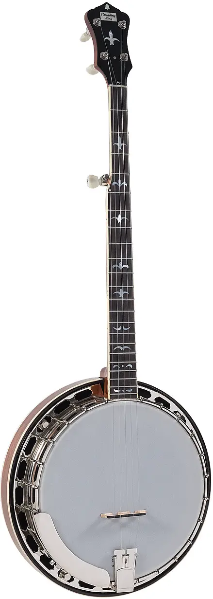 RK-R36-BR Recording King Madison Resonator Banjo by Recording King