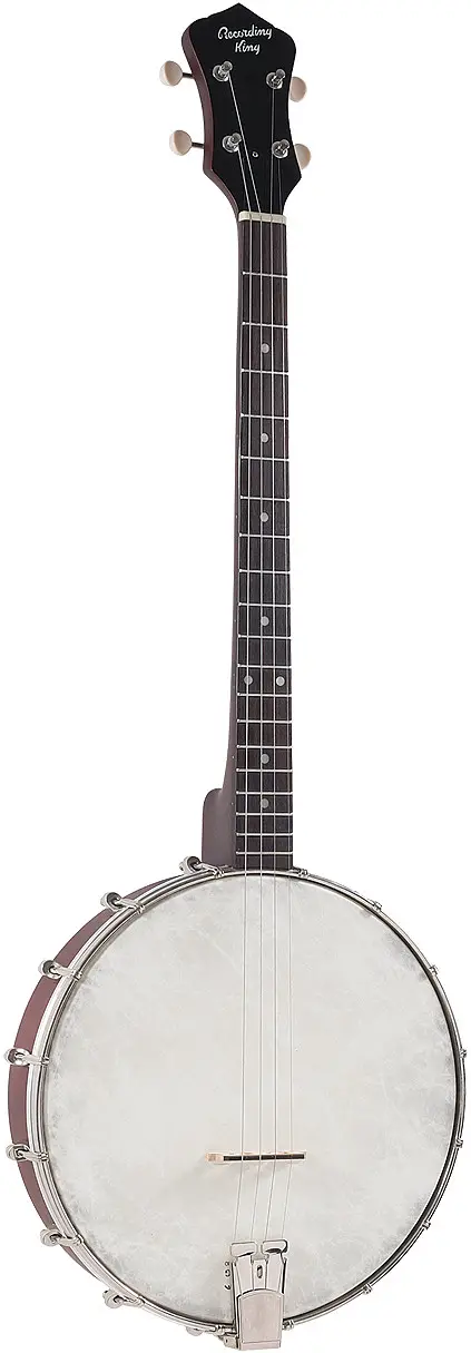 RKT-05 Recording King Dirty 30?s Tenor Banjo by Recording King