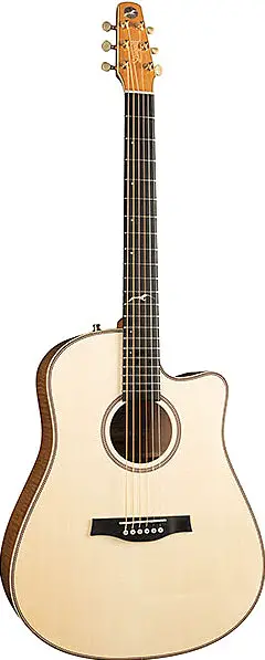 Artist Cameo CW Element by Seagull Guitars