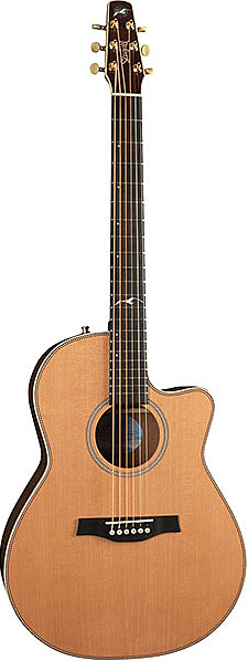 Artist Mosaic CW Folk Element by Seagull Guitars