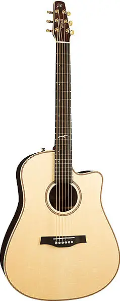 Artist Peppino Signature CW Element by Seagull Guitars