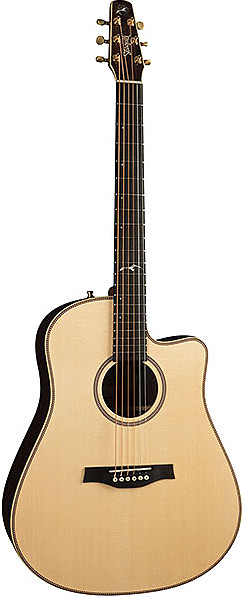 Artist Studio CW Element by Seagull Guitars