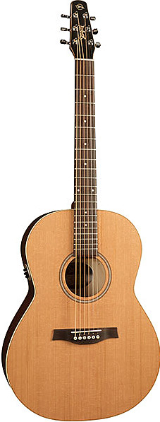 Coastline Cedar Folk QIT by Seagull Guitars