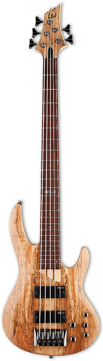 B-205SM (2018) by ESP