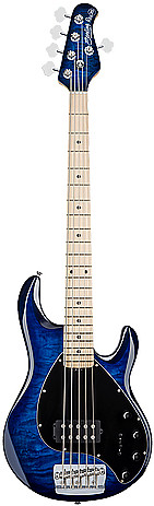 Ray35QM by Sterling by Music Man