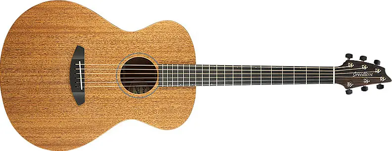 USA Concert Day Light E by Breedlove