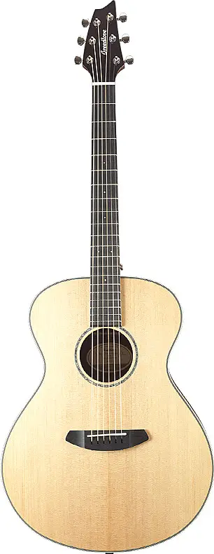 2018 Pursuit Exotic Concert E by Breedlove