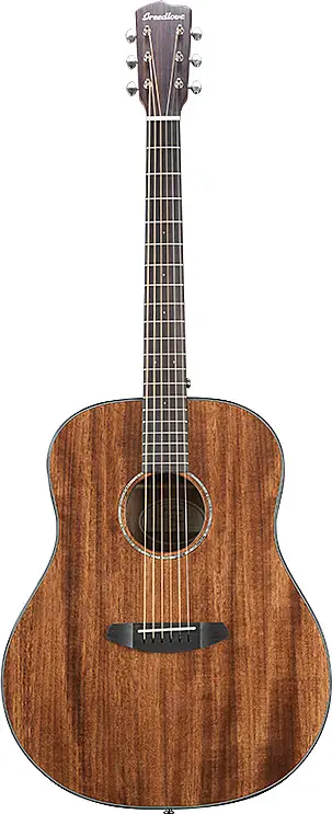 2018 Pursuit Dreadnought E by Breedlove