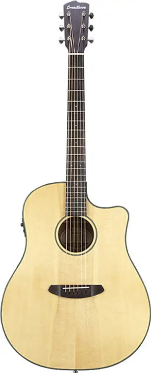 Discovery Dreadnought CE by Breedlove