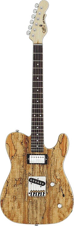 ASAT Classic Bluesboy W/ Spalted Maple Top by G&L