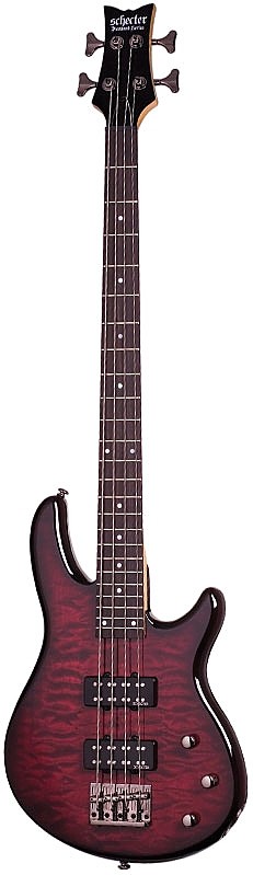 Raiden Special 4 by Schecter