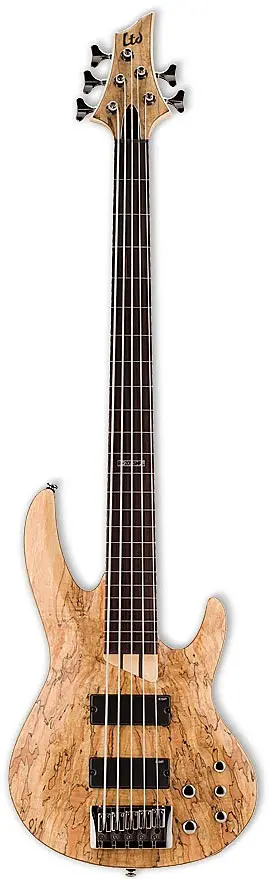 B 205 Fretless by ESP