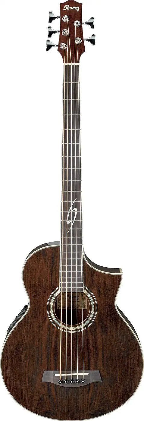 EWB205 by Ibanez