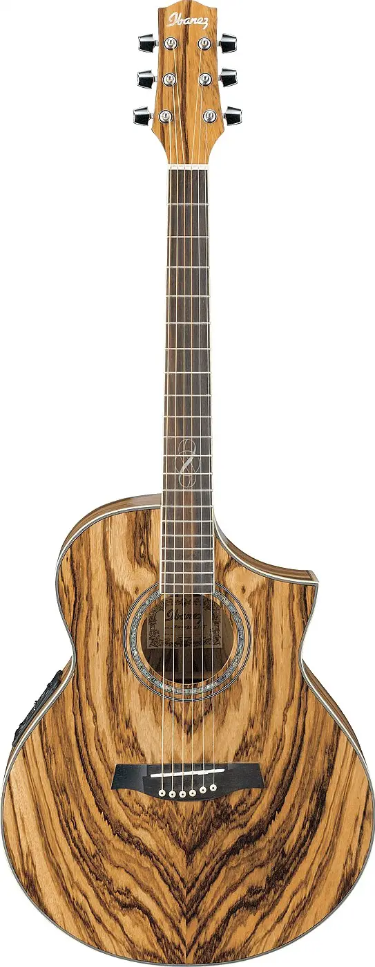 Ibanez EW20ZWENT Review Chorder