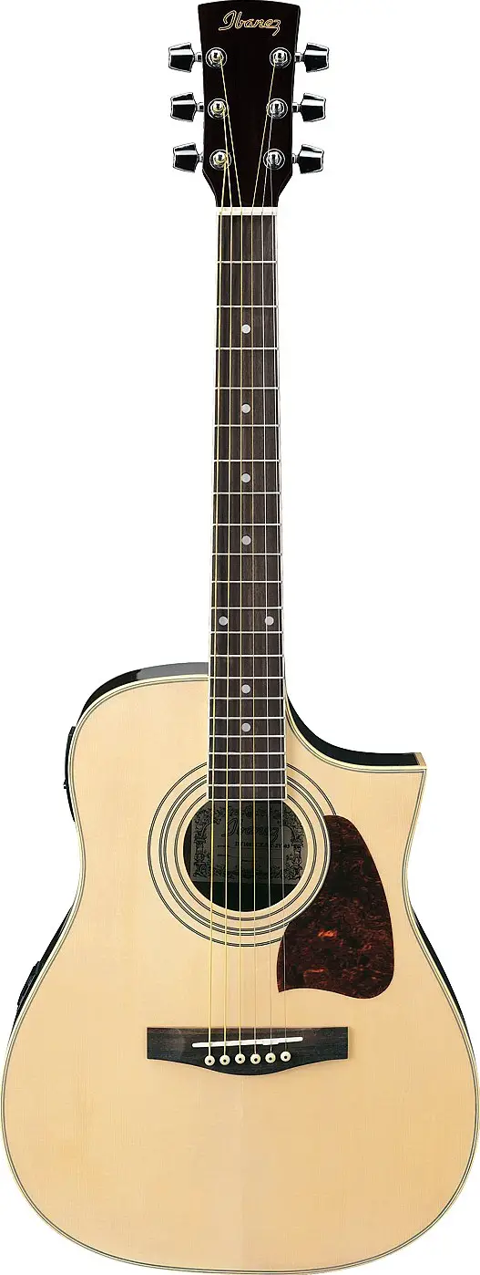 DT100 Cutaway by Ibanez