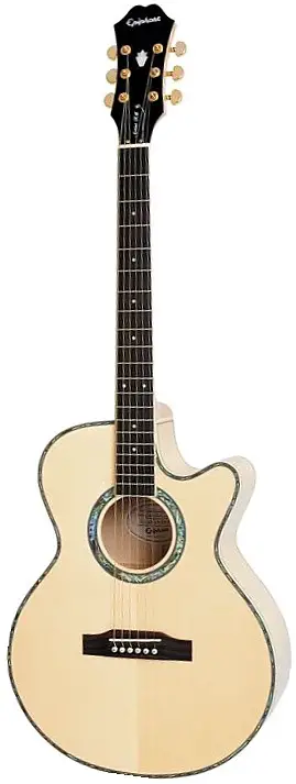 Performer SE by Epiphone