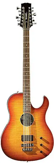 Acoustic Look 12 String Bass by Hamer