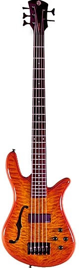 5 String by Spector