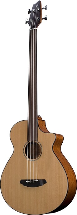 Solo BJ350/CMe4 Fretless by Breedlove