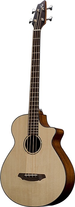 Studio BJ350/SMe4 by Breedlove