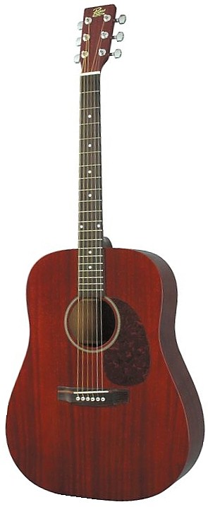 Honduran Mahogany Dreadnought by Rogue