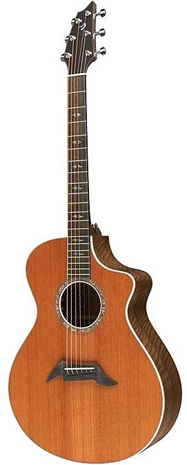 Focus Special Edition Walnut by Breedlove