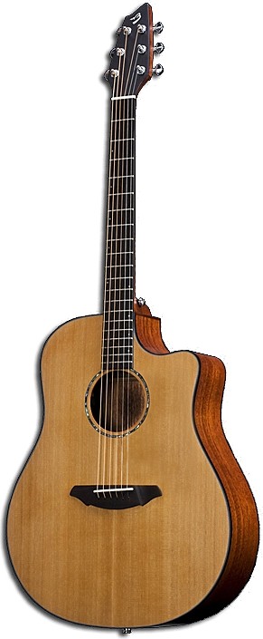 Atlas Solo D350/CMe by Breedlove